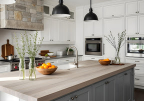 Multi-purpose Wood'n Kit (4x Lg) - Sun Bleached - Interior Top Coat