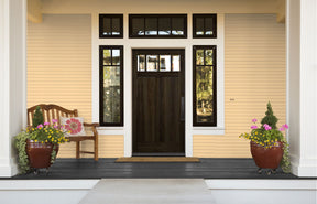 Wood'n Stain - Classic Black