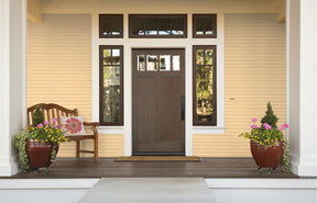 Wood'n Stain - Black Walnut - Retique It®